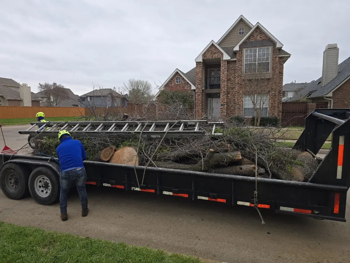 Expert Deadwooding with proper safety equipment in Blooming Grove